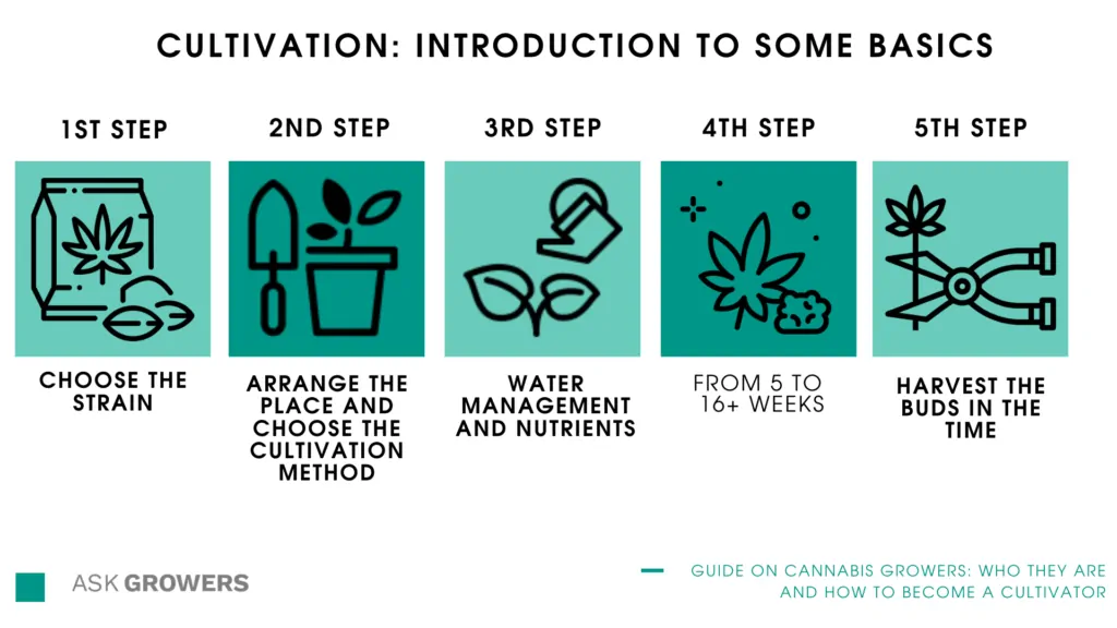 Cultivation: Introduction To Some Basics - AskGrowers