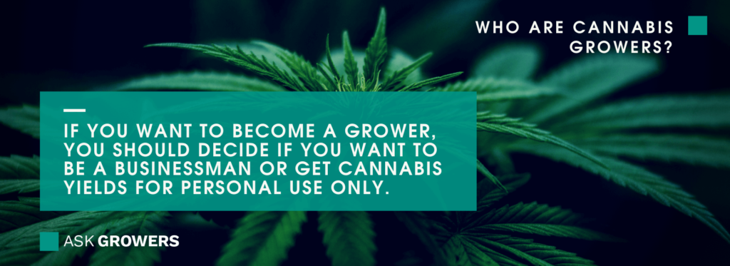 Who Are Cannabis Growers