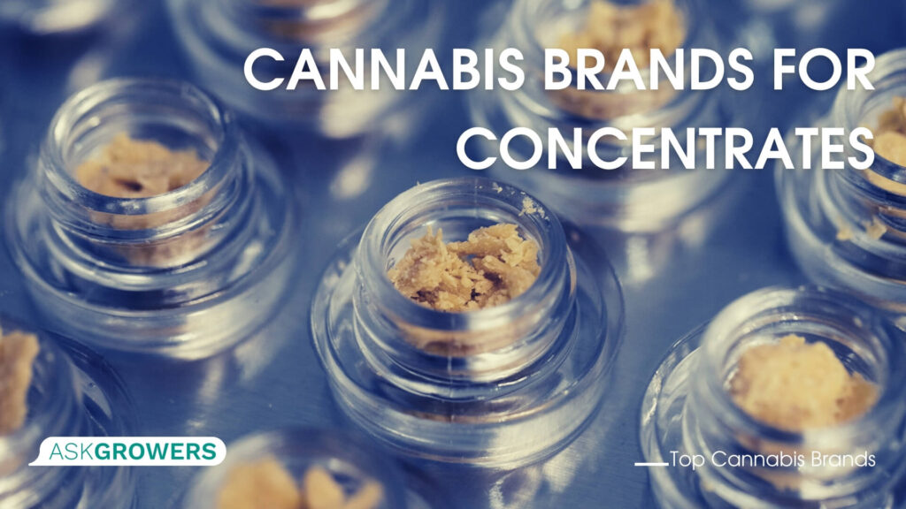 Cannabis Brands for Concentrates
