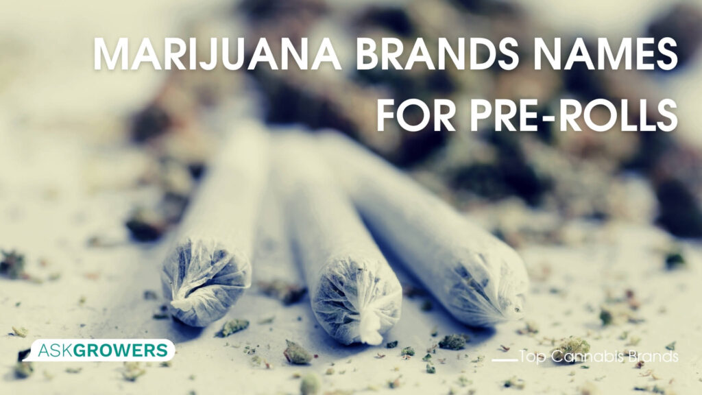 Marijuana Brands Names for Pre-Rolls