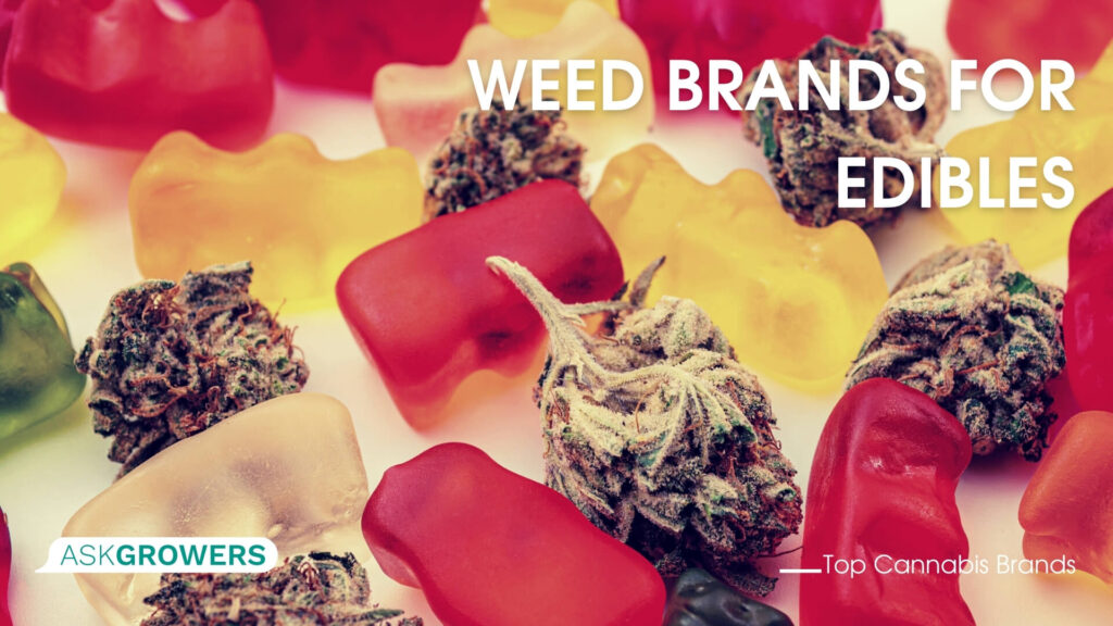 Weed Brands for Edibles