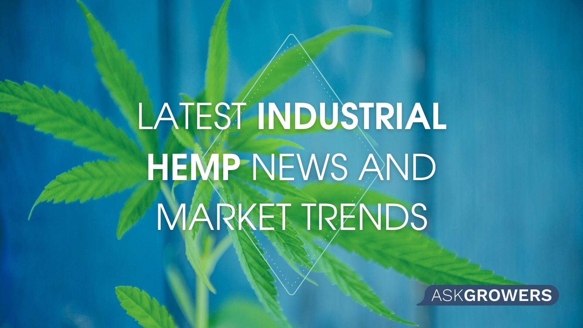 Latest Industrial Hemp News and Market Trends