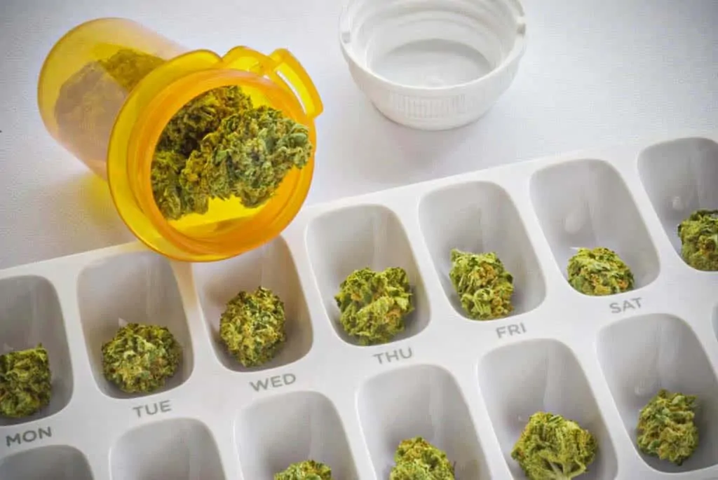 Medical Marijuana — What You Should Know