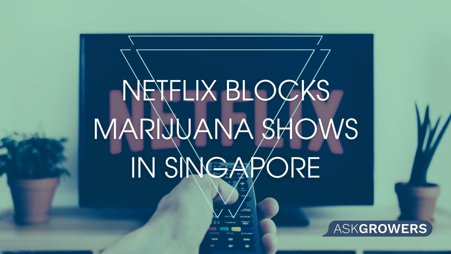 Netflix Blocks Marijuana Shows in Singapore in Response to Government Demands