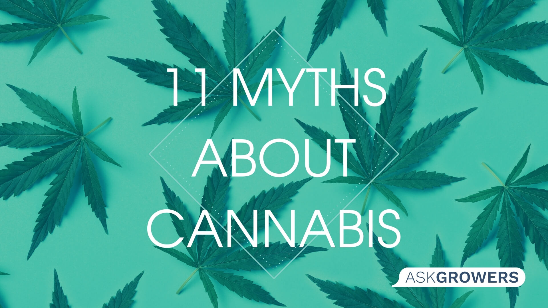 11 Myths and Misconceptions About Cannabis