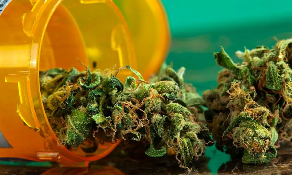 Can Marijuana Reduce Symptoms Of Cancer Or Even Treat It?
