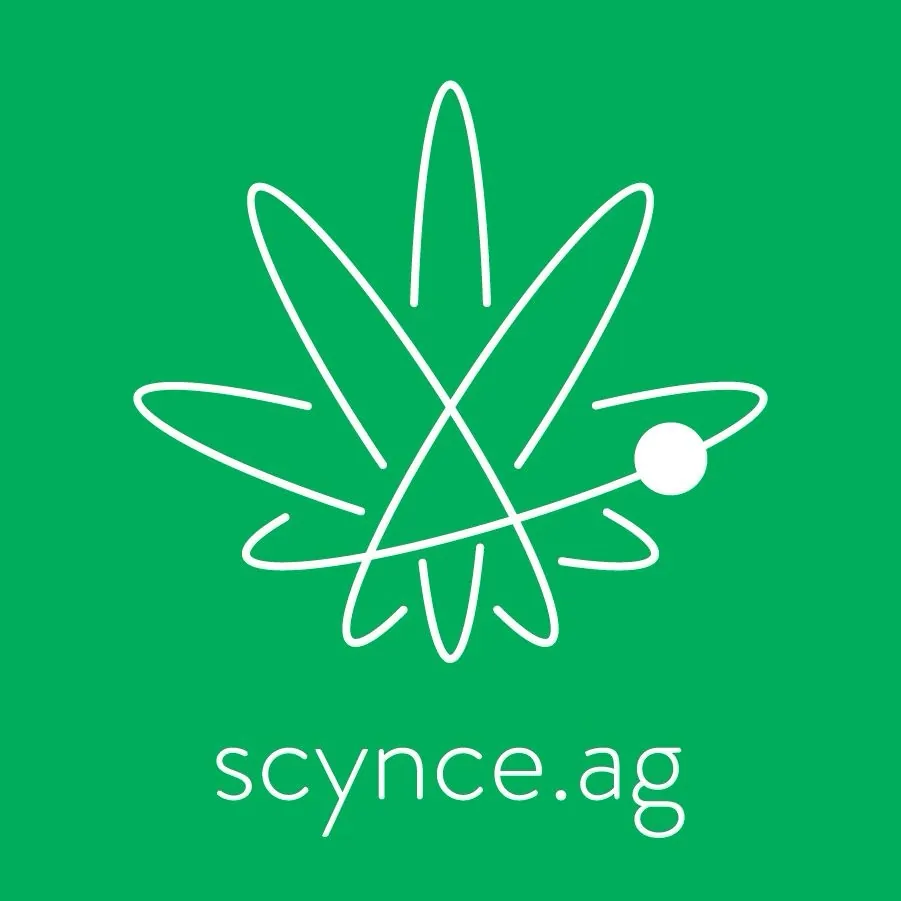 Scynce Led Logo