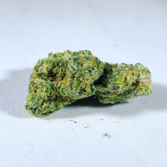 refrigerator director boat Zookies Strain Complete Review | AskGrowers