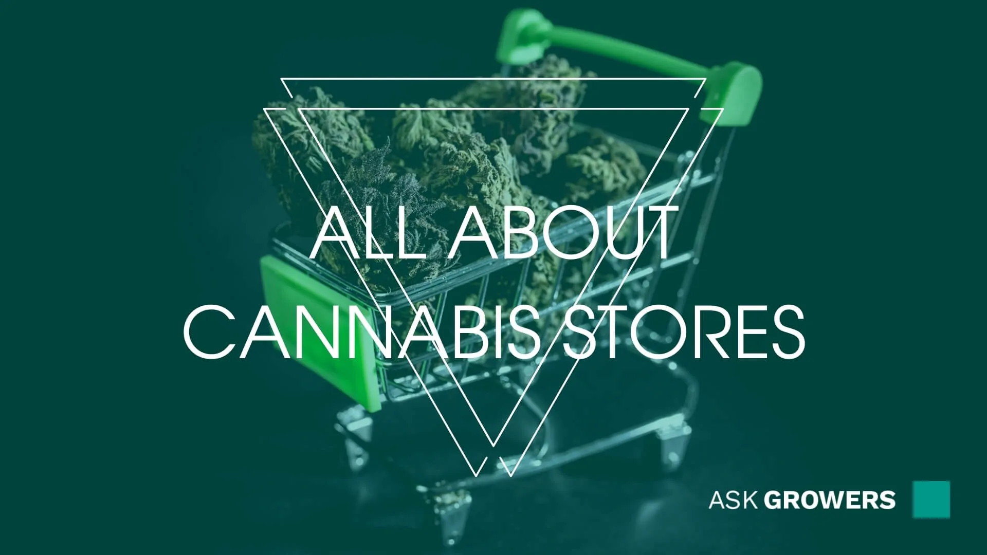 All About Cannabis Stores