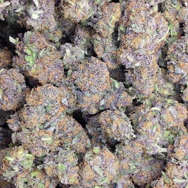 Purple Urkle strain photo 2