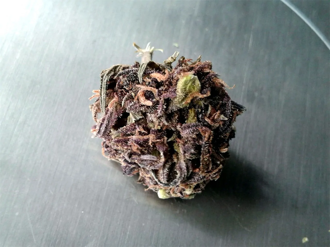 Purple Power strain photo 1