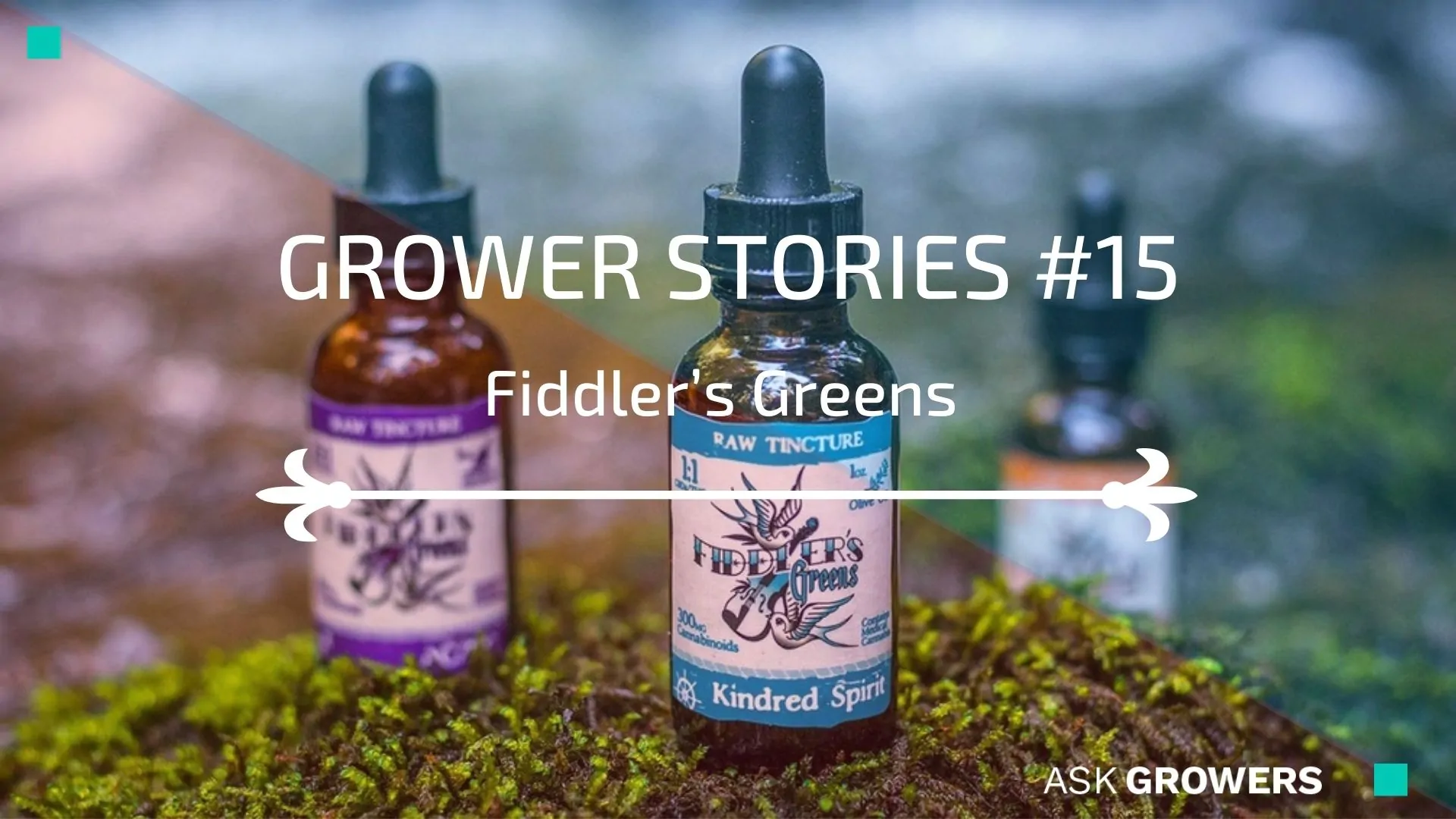 Grower Stories #15: Fiddler’s Greens Team