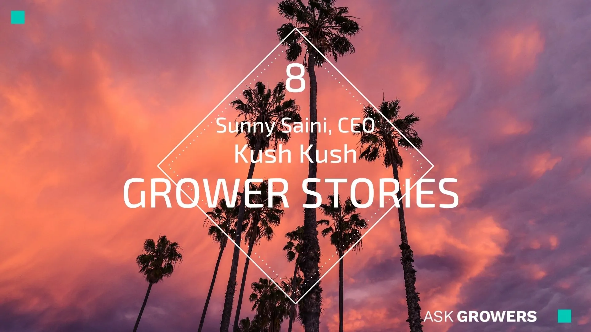 Grower Stories #8: Sunny Saini