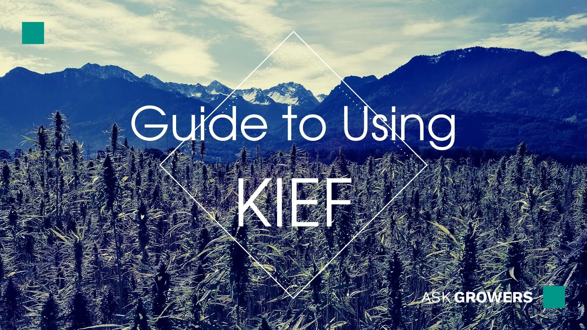 Guide to Using Kief