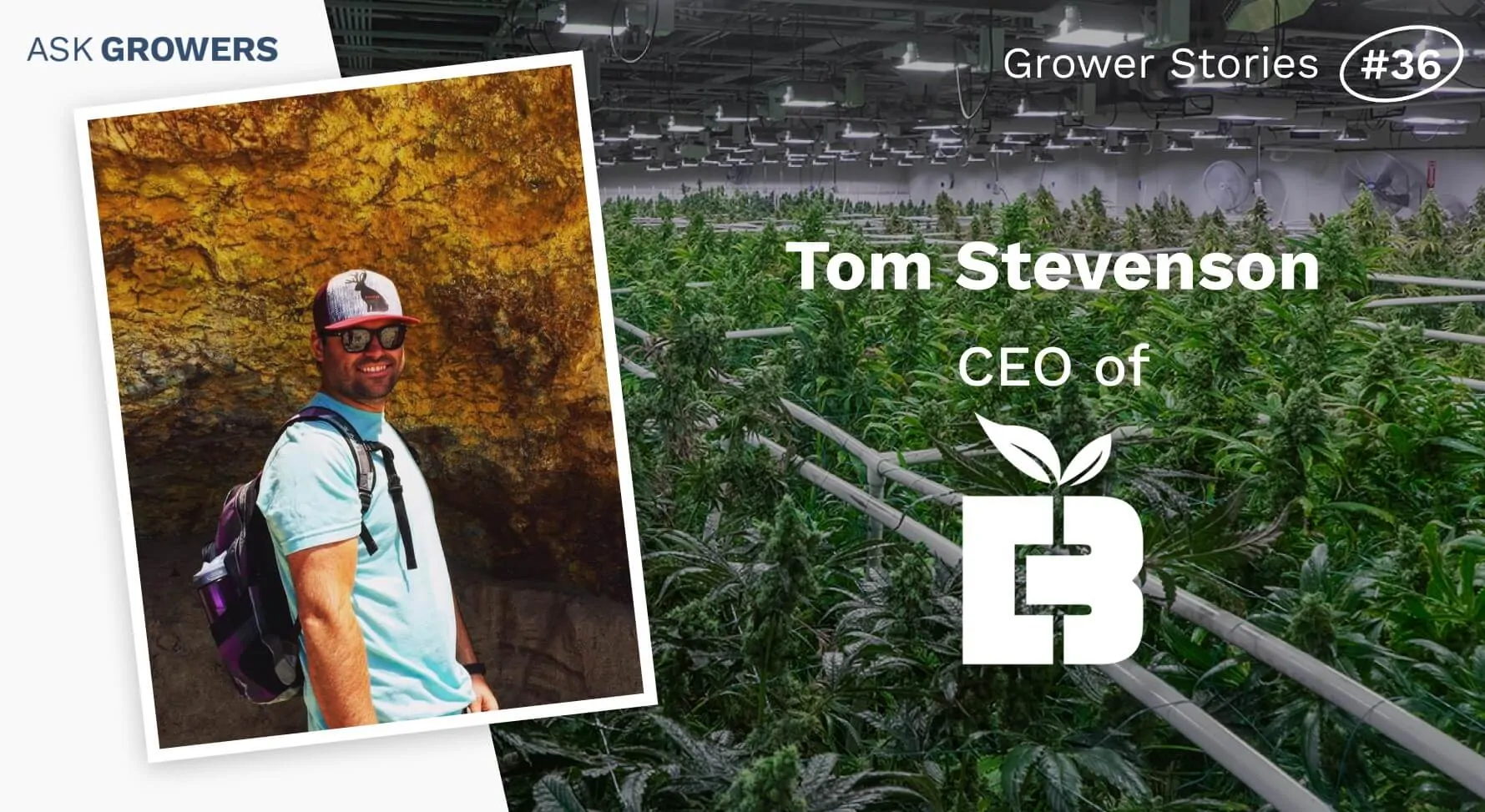 Grower Stories #36: Tom Stevenson