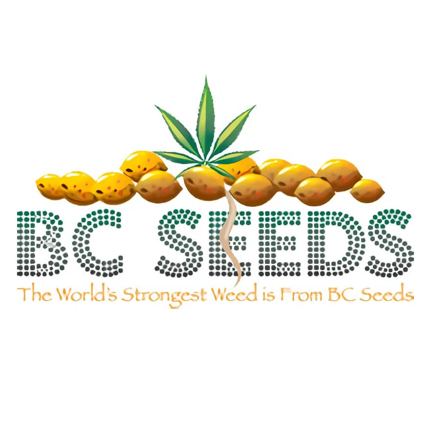 BC Seed Company Logo