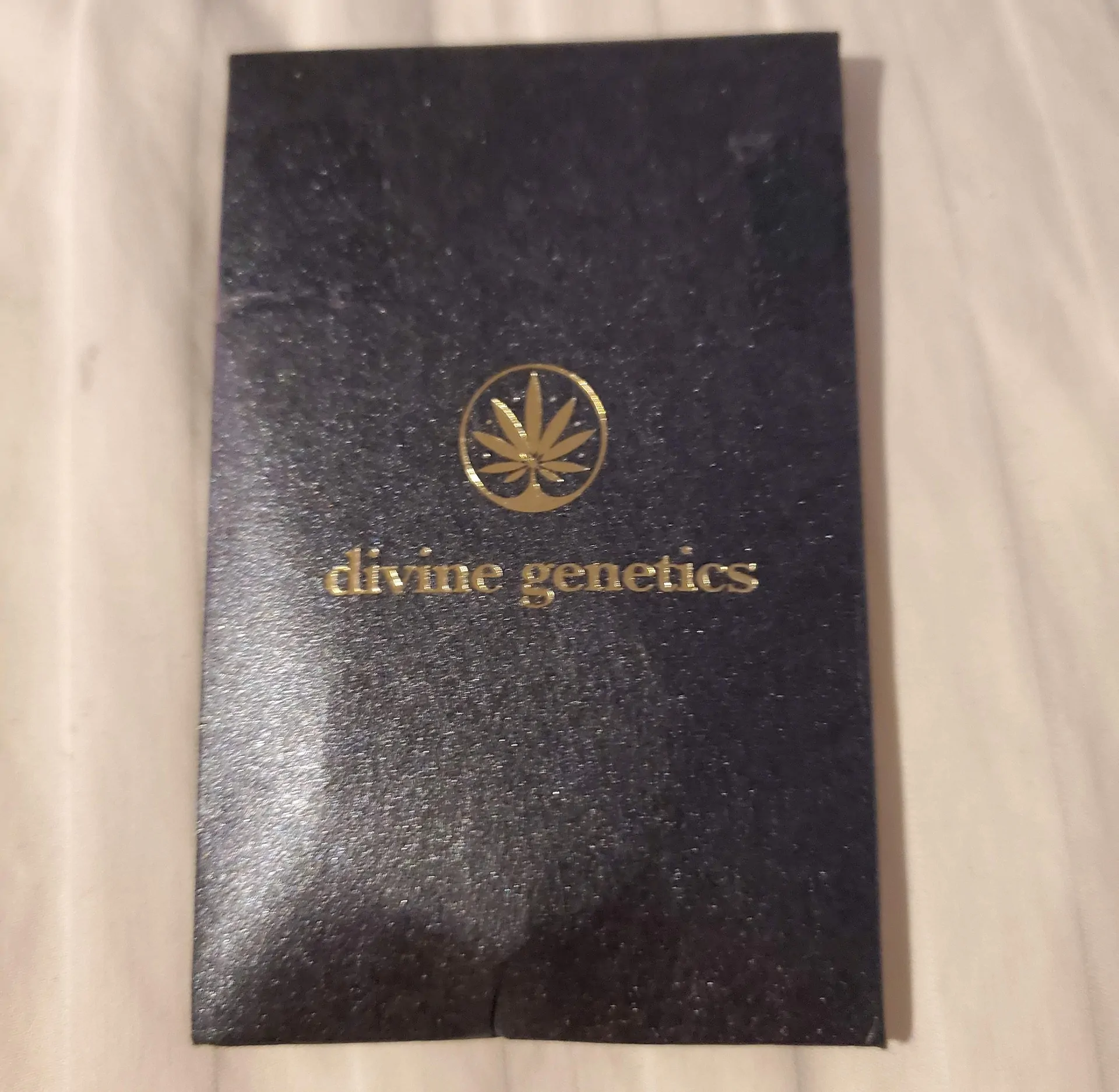 Divine Genetics Logo