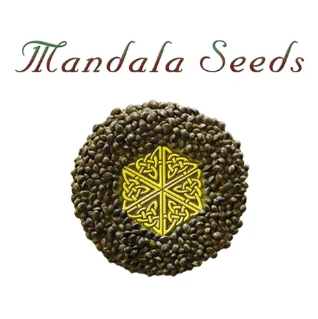 Mandala Seeds Logo