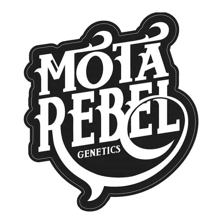 Motarebel Seeds Logo