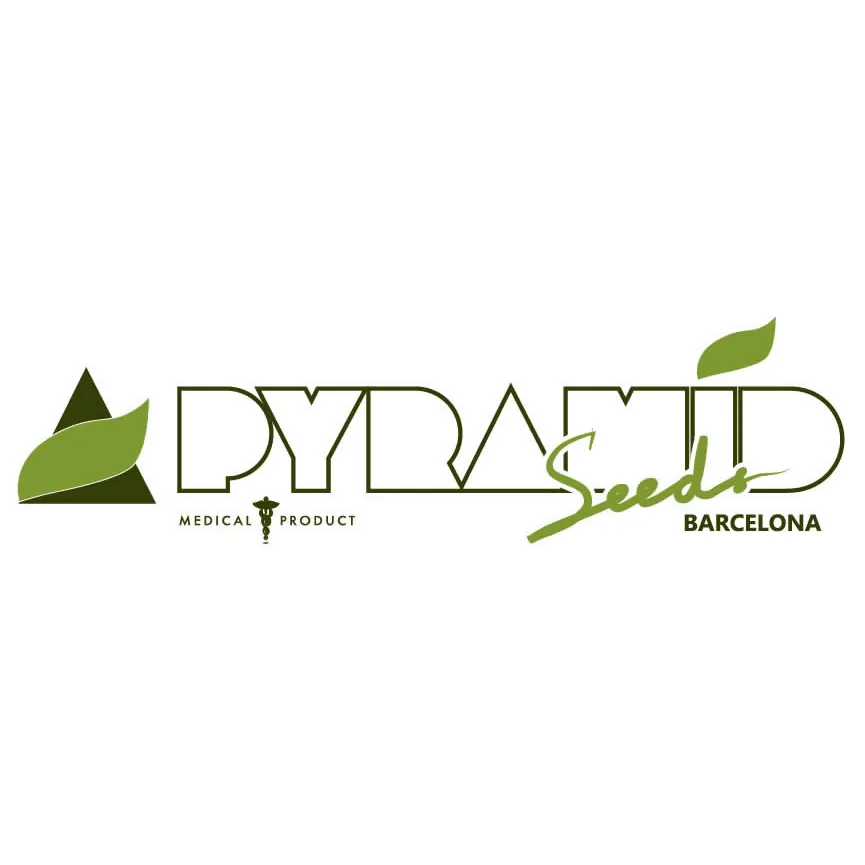 Pyramid Seeds Logo