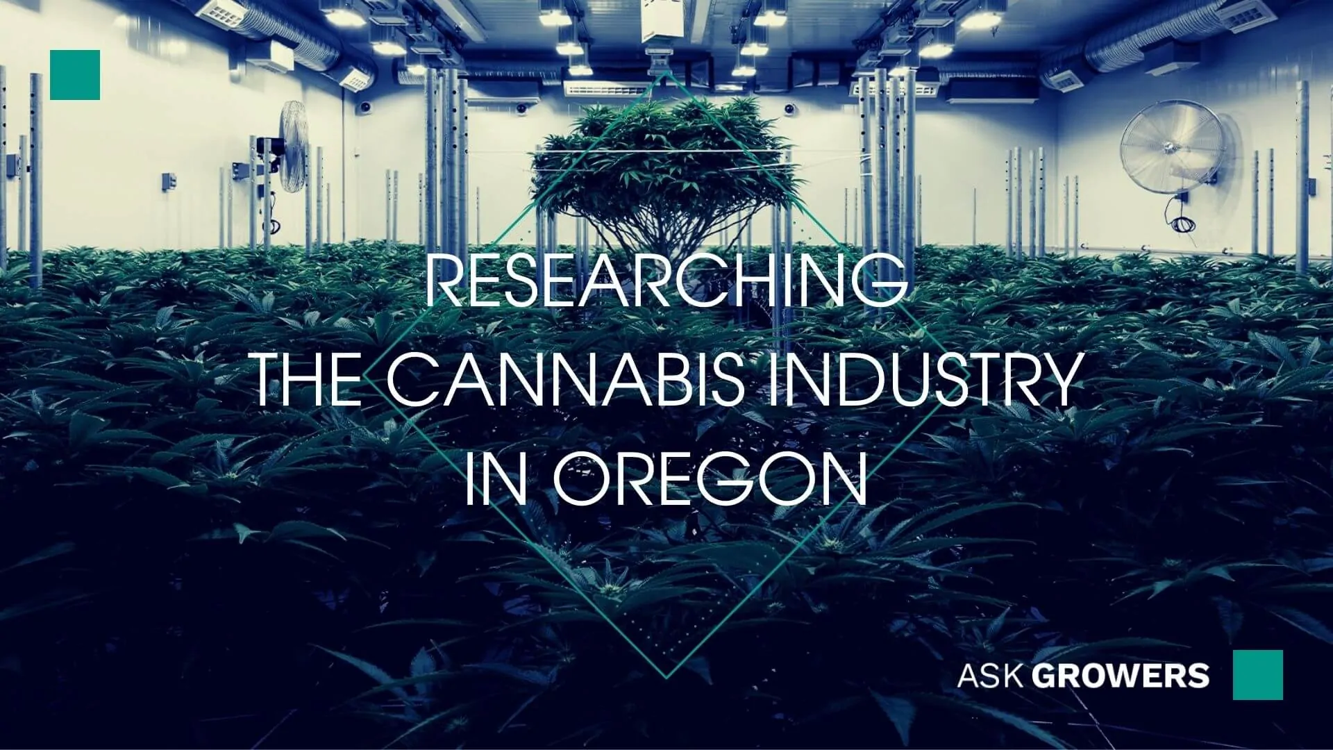 Researching The Cannabis Industry In Oregon