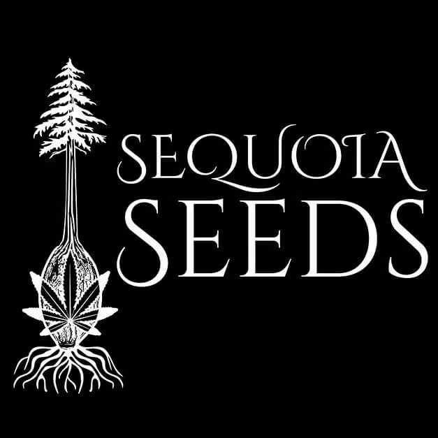 Sequoia Seeds Logo