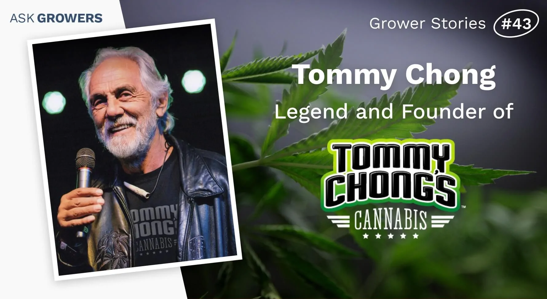 Grower Stories #43: Tommy Chong