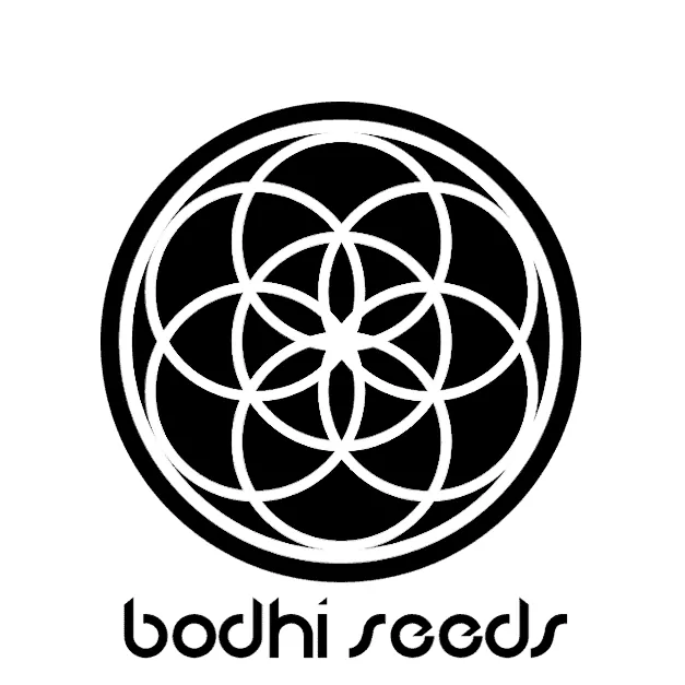Bodhi Seeds Logo
