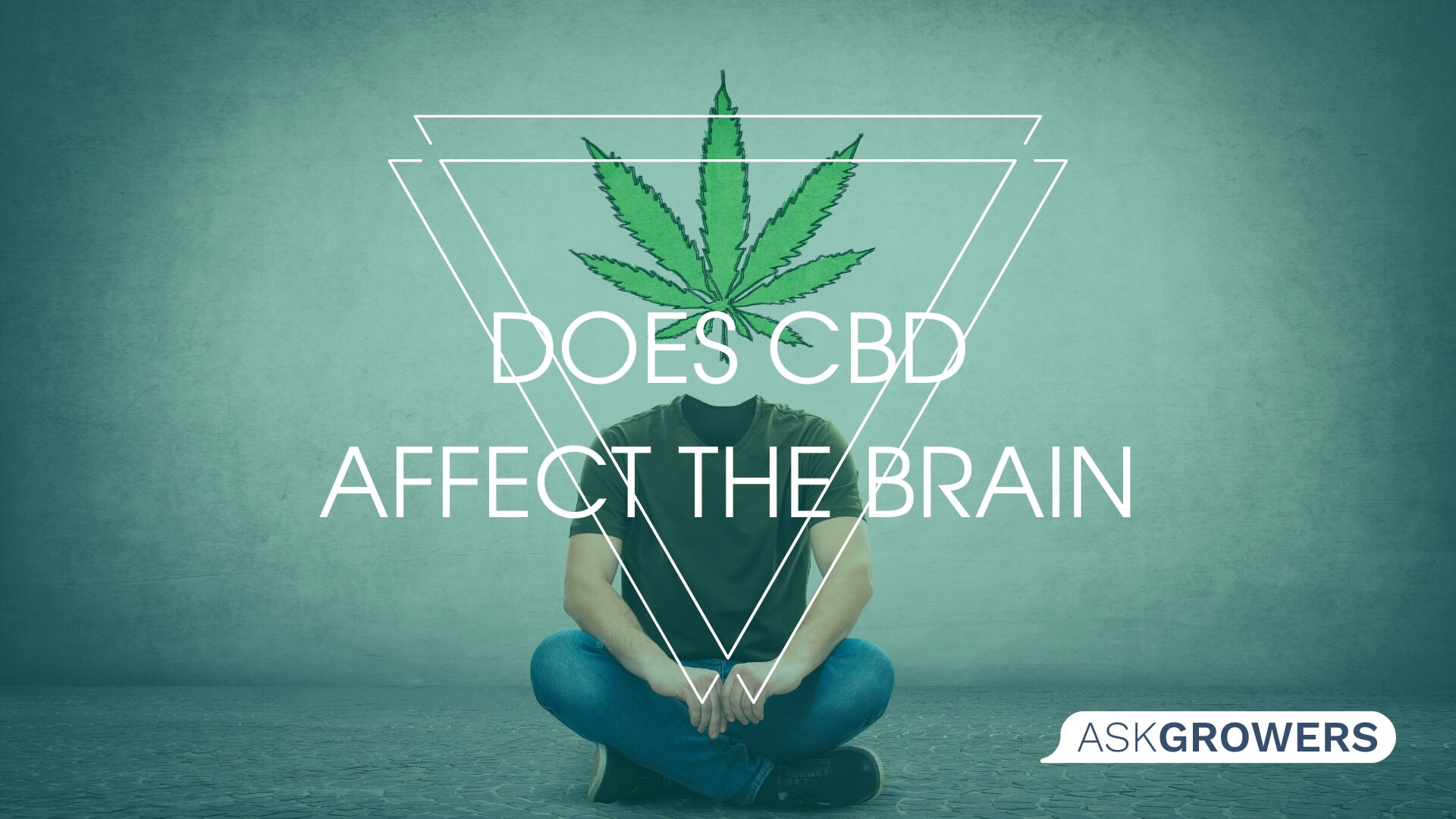 Does CBD Affect the Brain and Memory?