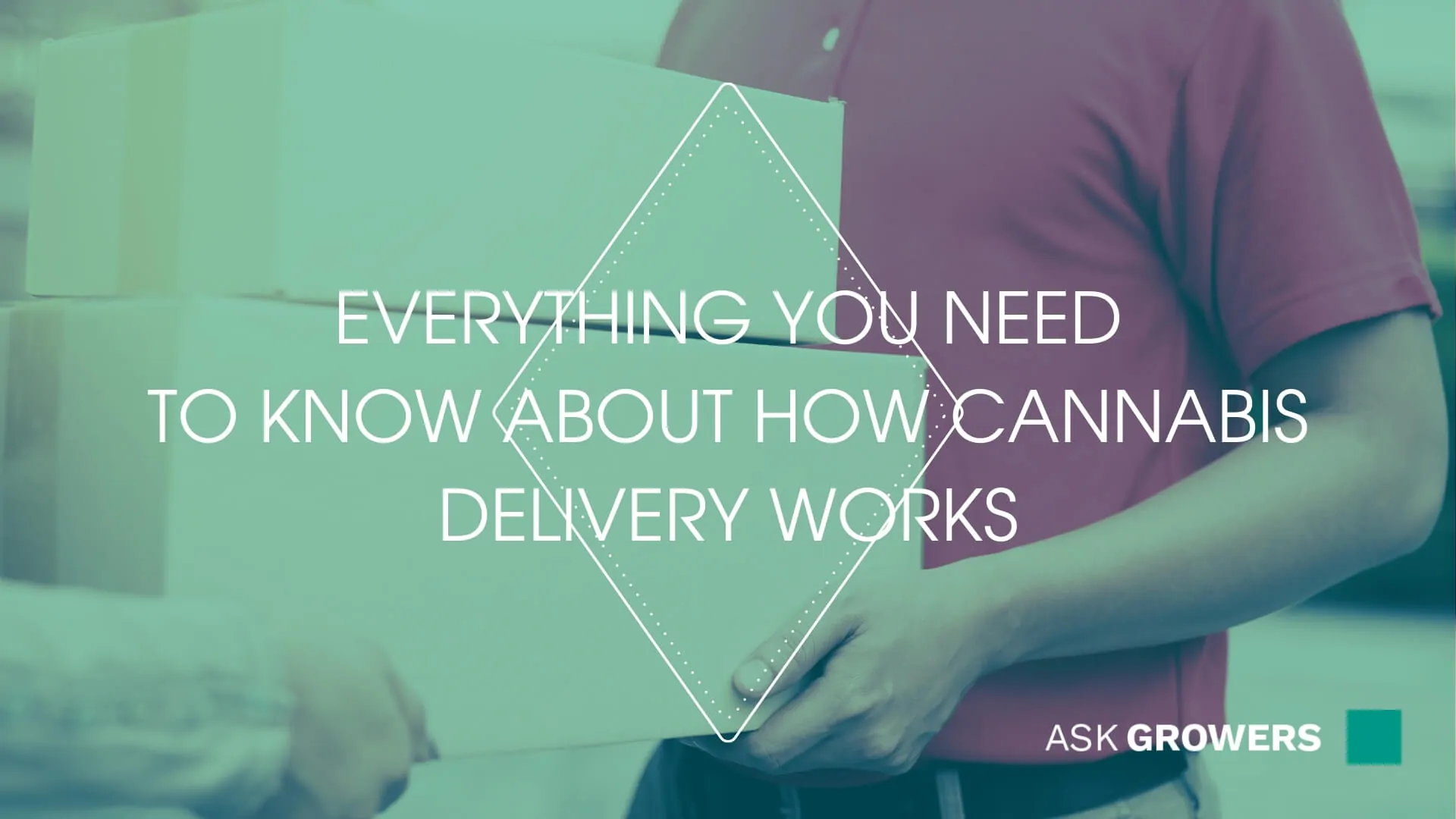 Everything You Need to Know About How Cannabis Delivery Works