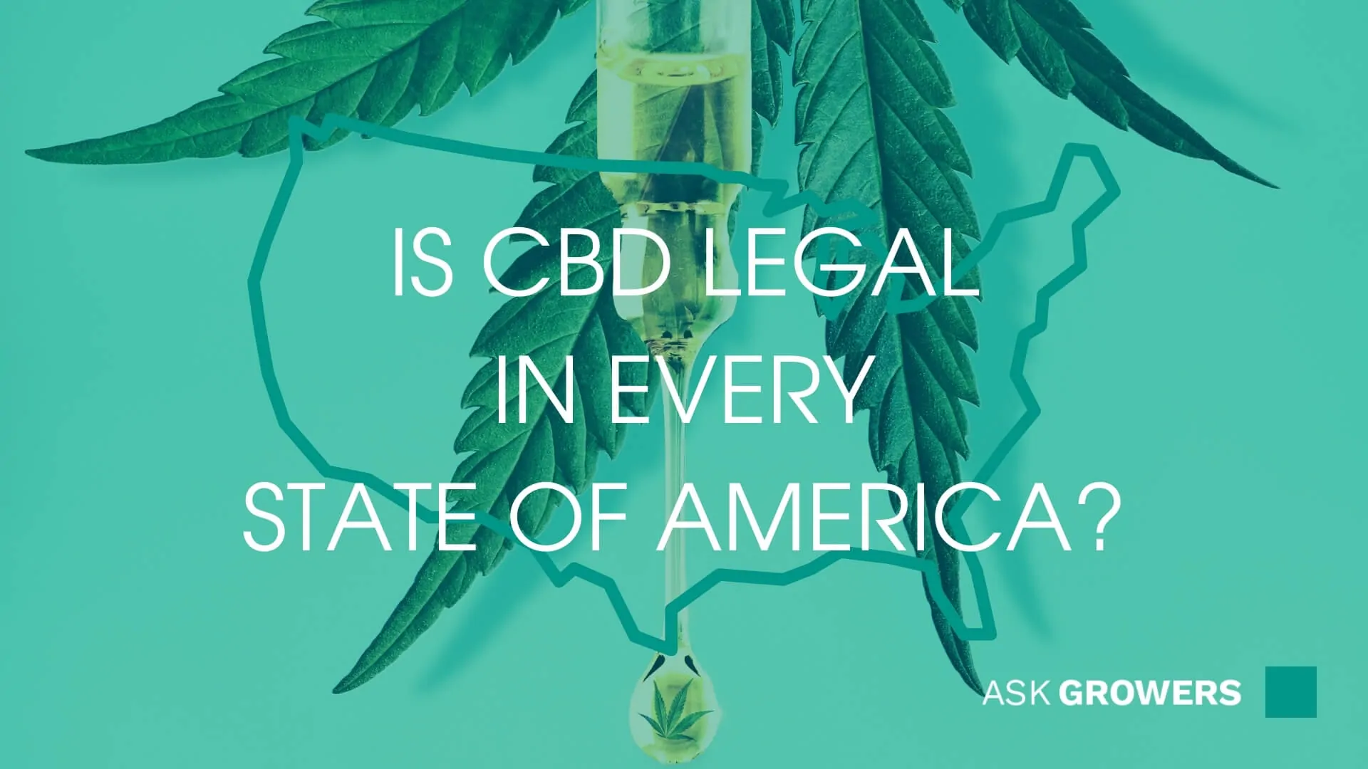 Is CBD Legal in Every State of America?
