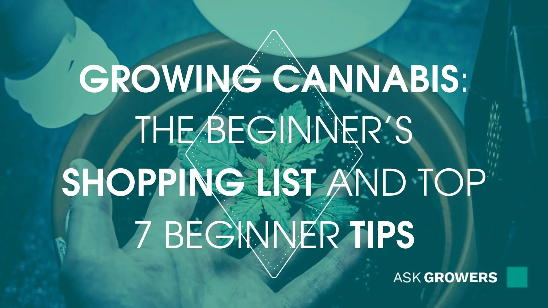 Growing Cannabis: The Beginner's Shopping List and Top 7 Beginner Tips