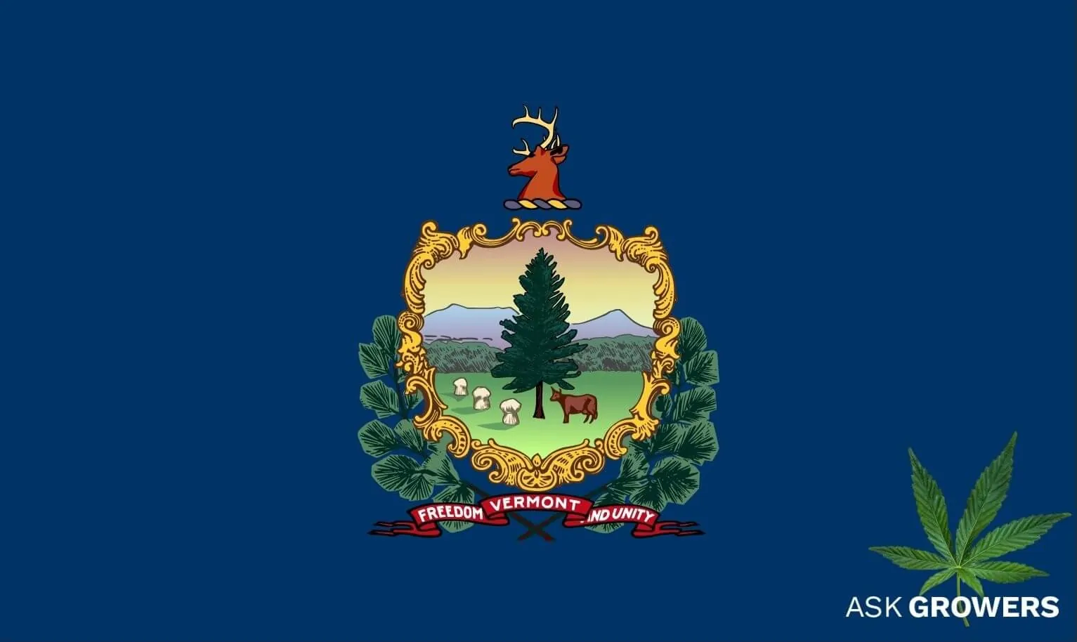 Cannabis in Vermont