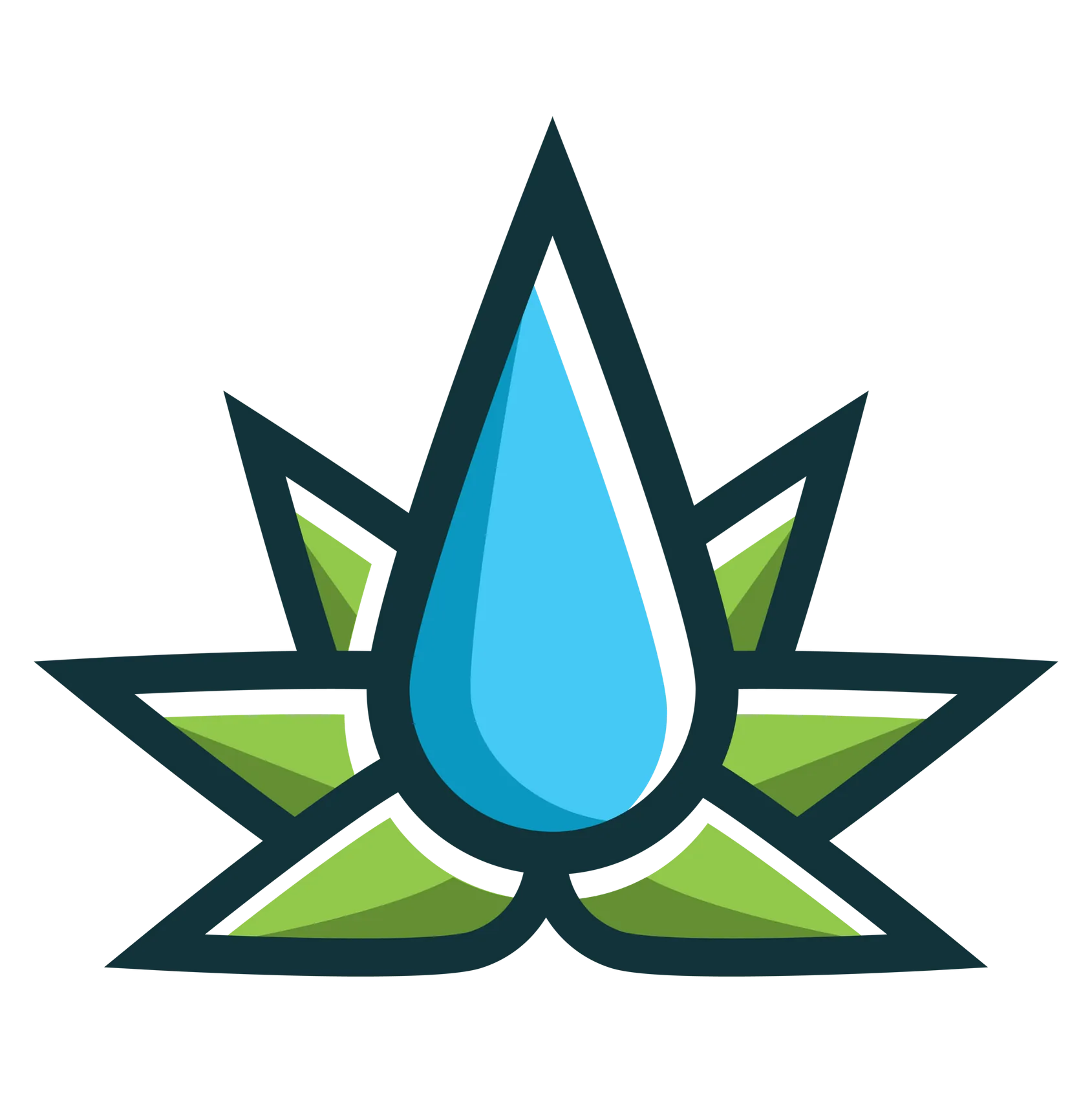Cannabinoid Water Logo
