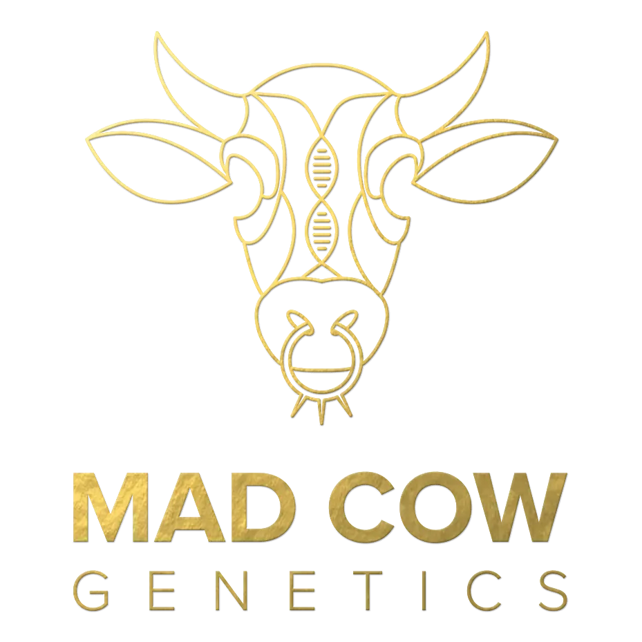 Mad Cow Genetics Logo