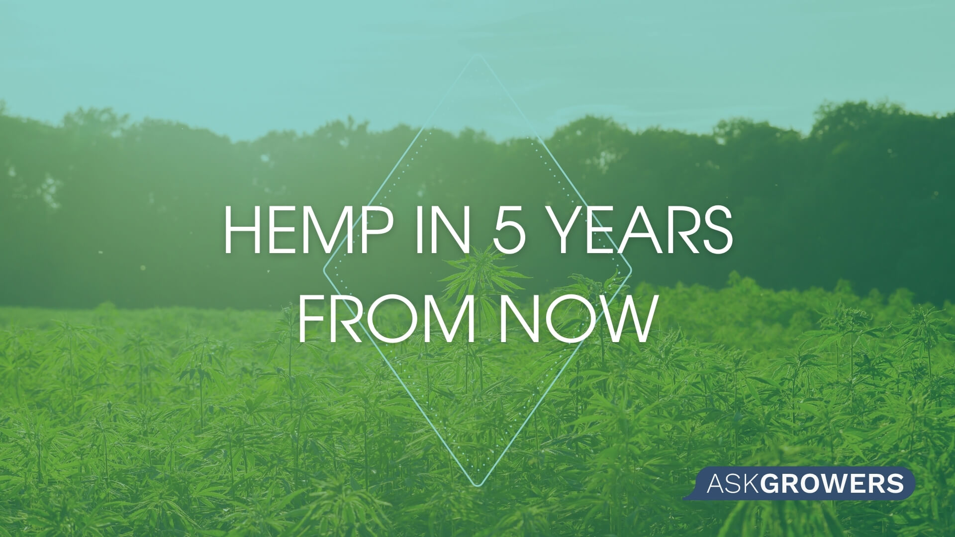 Hemp in 5 Years From Now