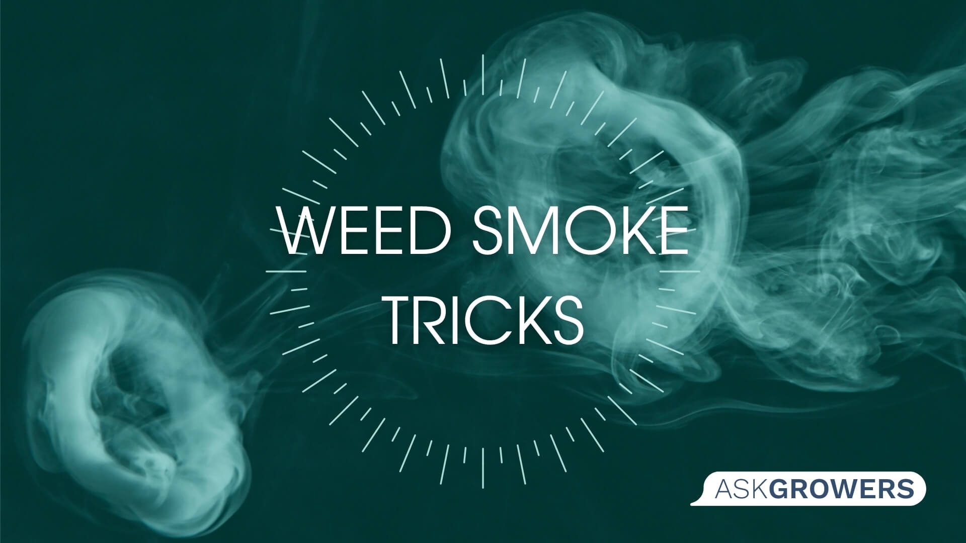 12 Best Weed Smoke Tricks and Tips to Try