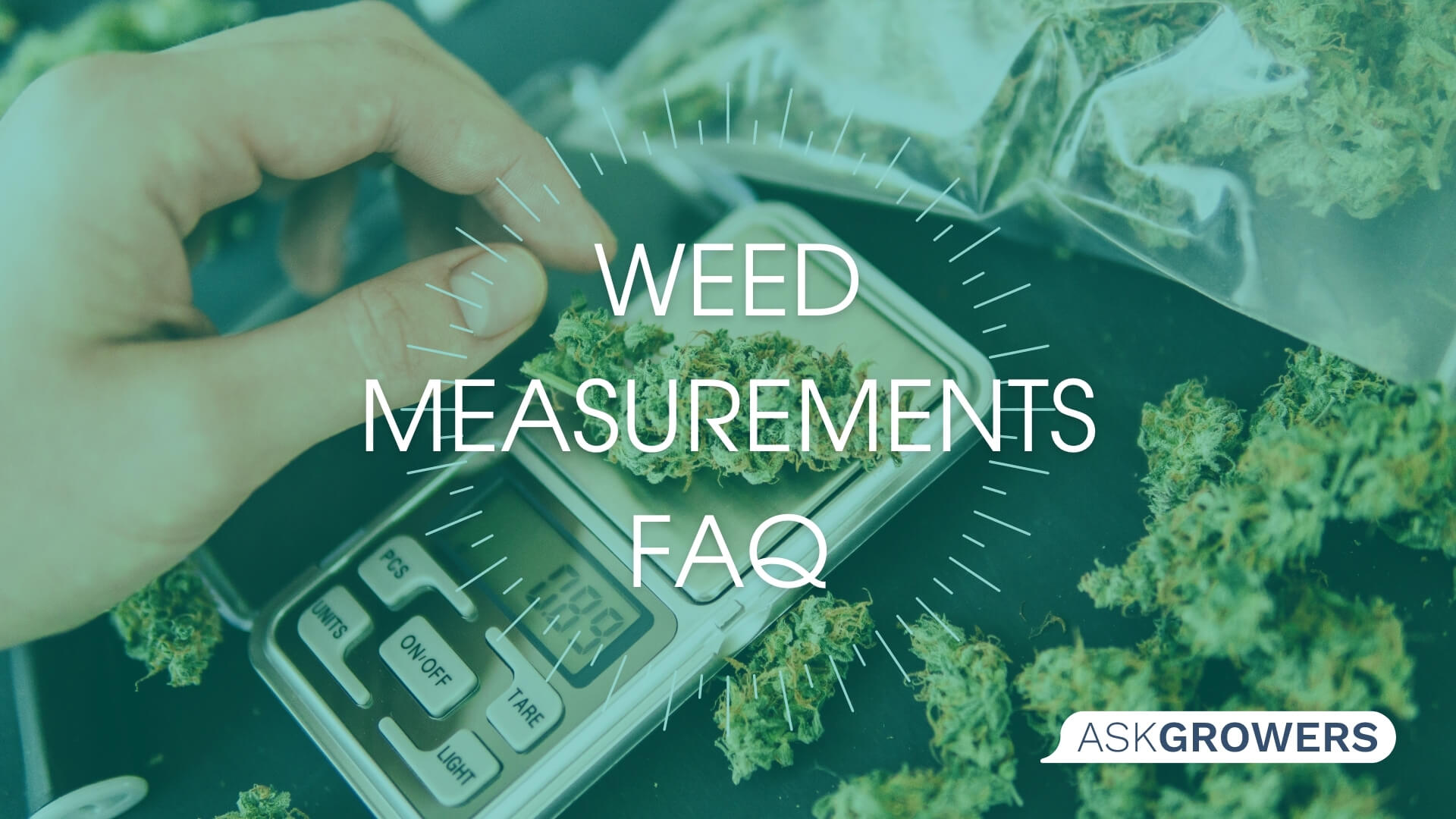 Weed Measurements FAQ: Everything You Need to Know