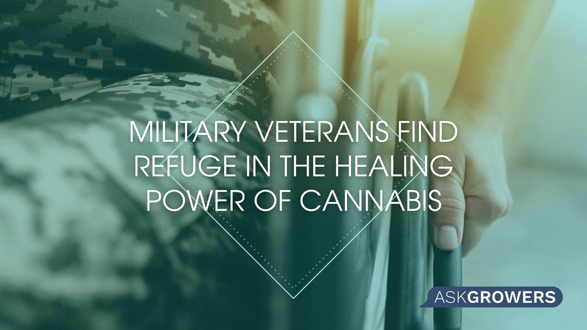 Military Veterans Find Refuge in the Healing Power of Cannabis