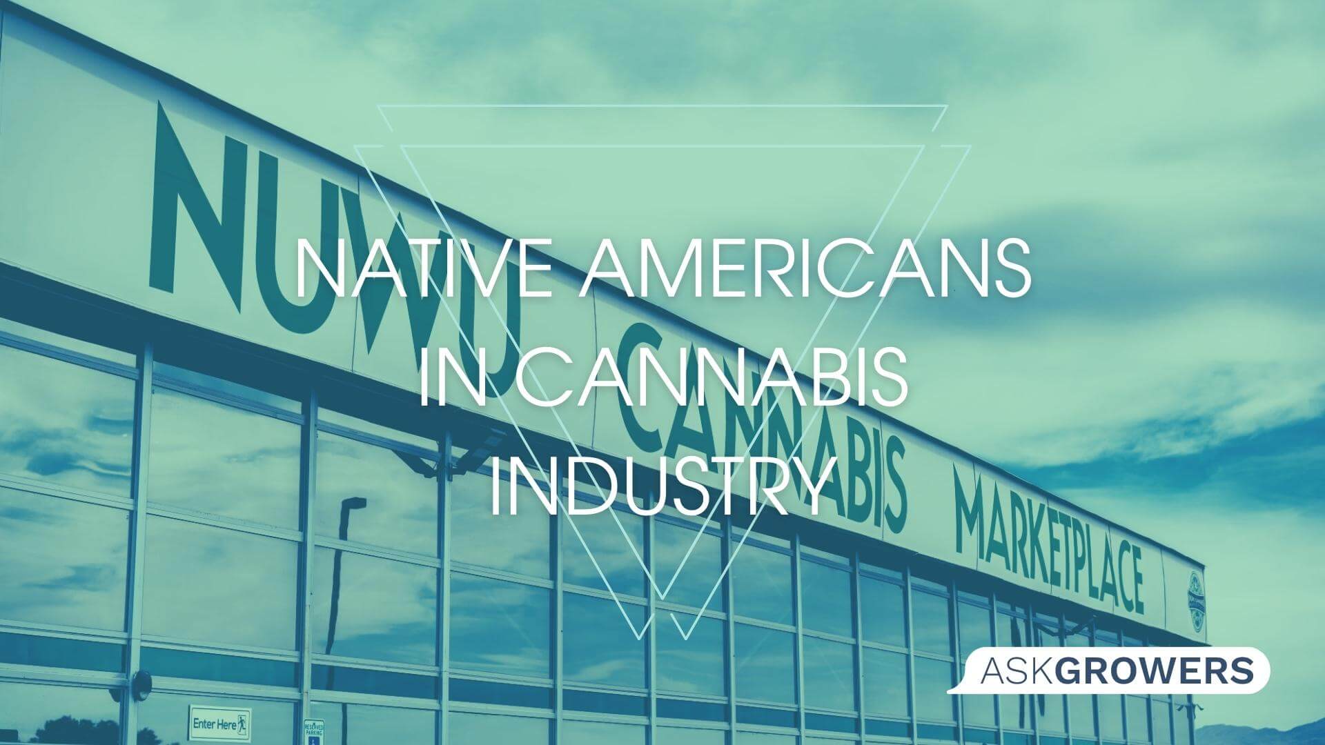 Native American Tribes Create Financial Empires in Booming Cannabis Industry