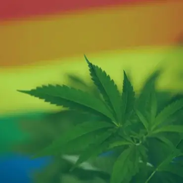 Pride and Cannabis