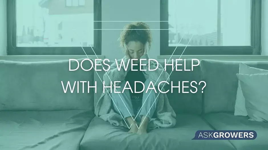 Does Marijuana Help With Headaches?