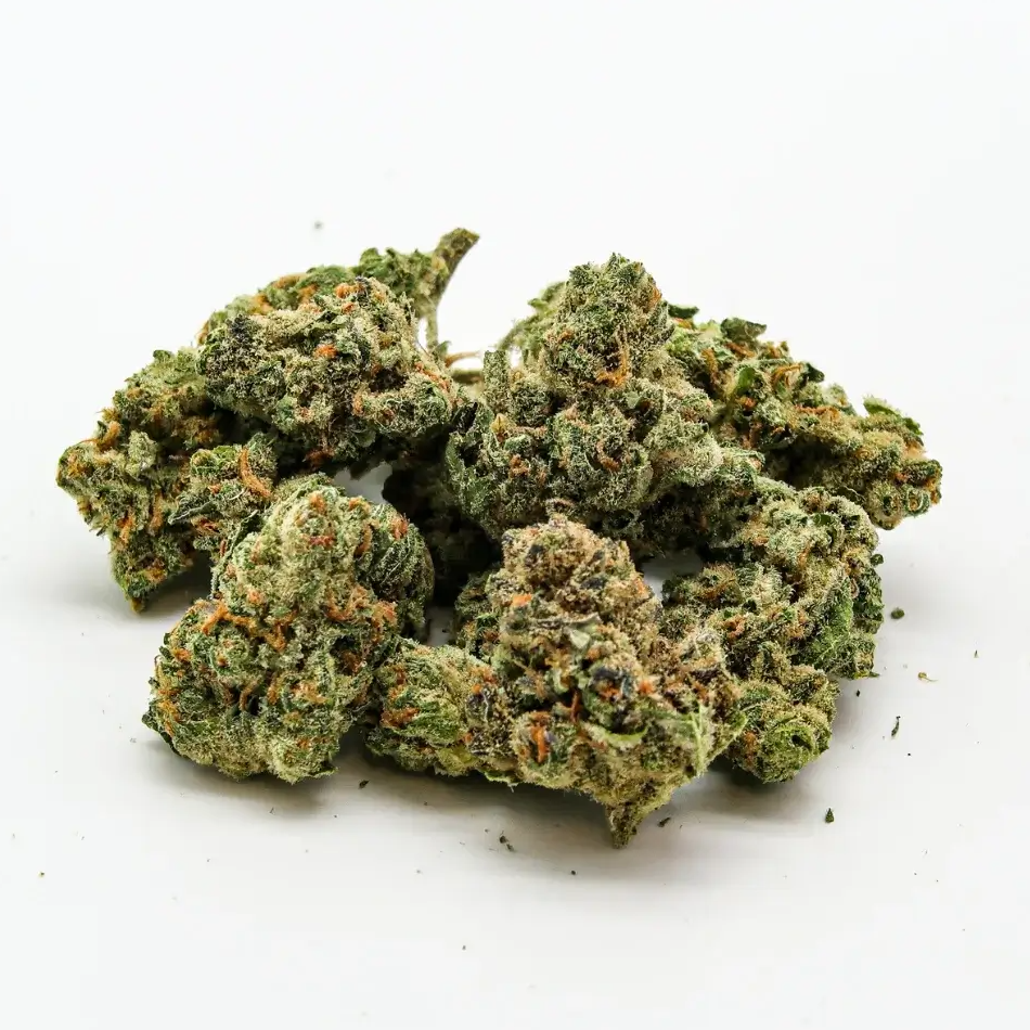 cherry cindy strain indica or sativa