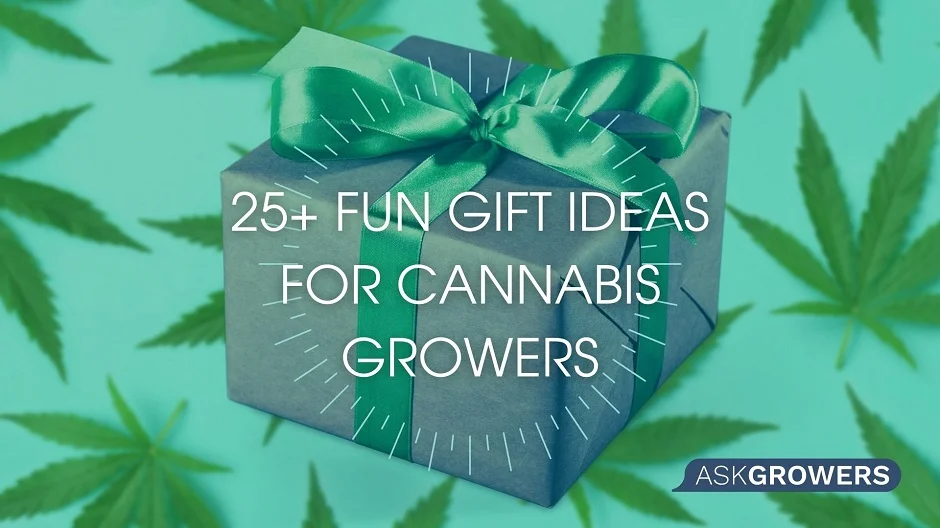 25+ Fun Gift Ideas For Cannabis Growers