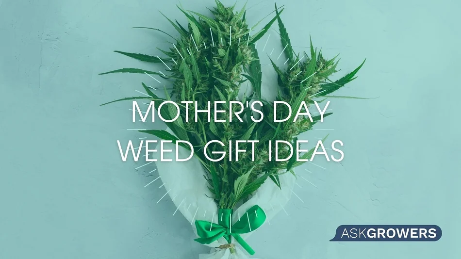 How to Make Your Cannamom Happy on Mother’s Day