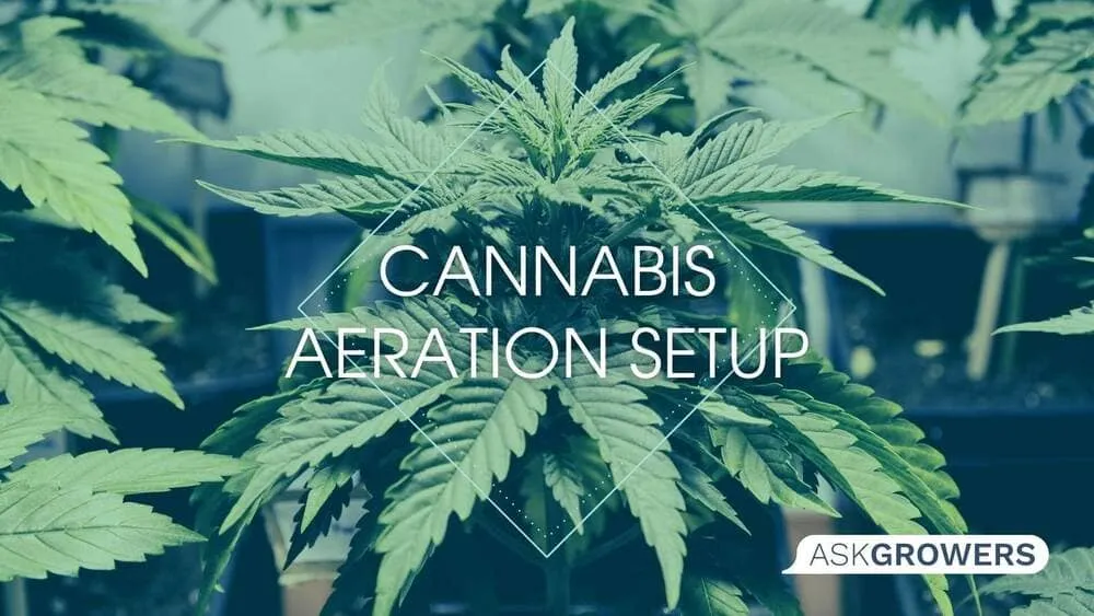 Cannabis Aeration Setup How-To