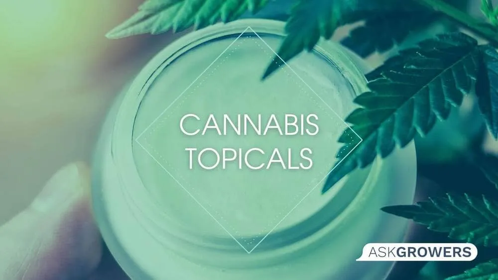 Do Cannabis Topicals Really Work?