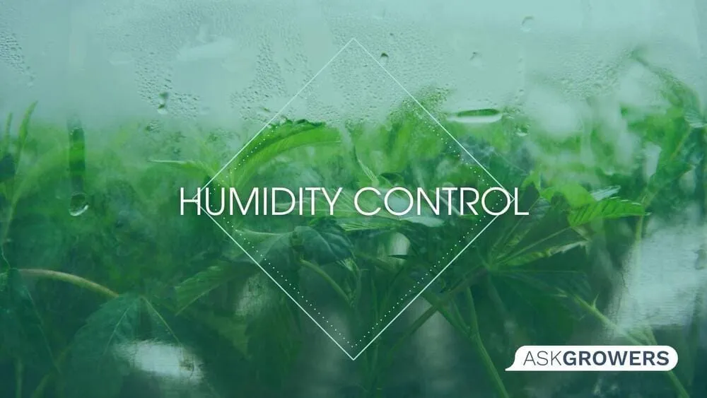 Humidity Control How-To