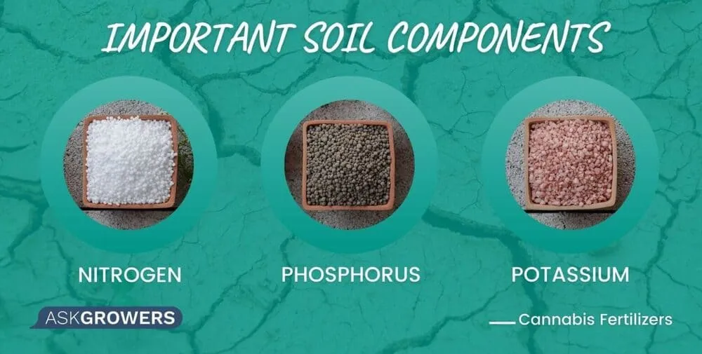 important soil components