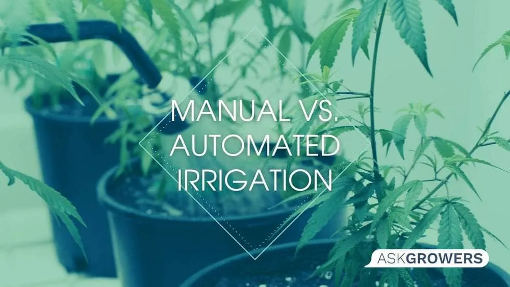 Manual vs. Automated Irrigation Pros and Cons